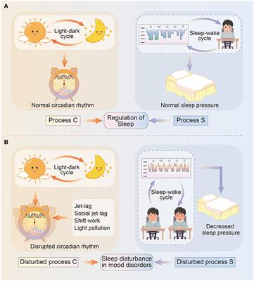 Glymphatic Dysfunction: A Bridge Between Sleep Disturbance and Mood Disorders